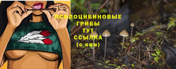 герыч Протвино