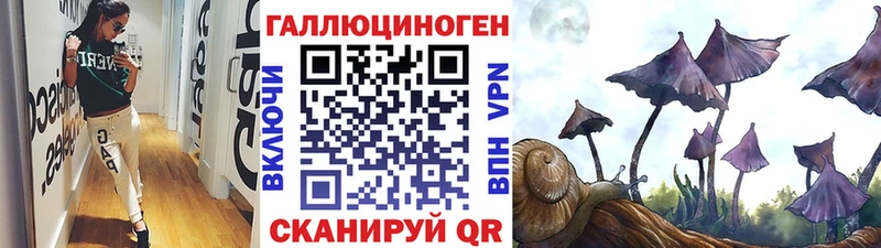 Псилоцибиновые грибы Psilocybe  Кондрово 